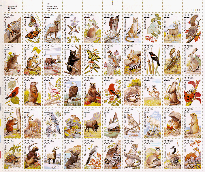 Wildlife Sheet 