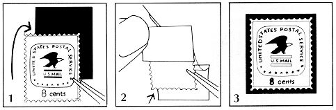 Showgard Mount Instruction 